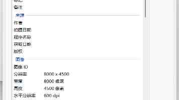 亭亭玉月丁香-品种特点与养护技巧及花语解析
