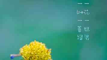 多地地铁部门叫停扶梯“左行右立”