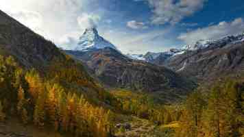 腾讯推出面向来华游客的跨境微信支付应用 TenPayGo