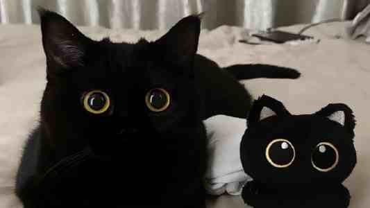 贾云鹏:人才培养的关键在教育理念