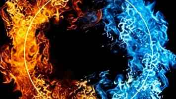 91蝌蚪家庭饲养全记录：从卵到幼蛙的成长细节与误区提醒