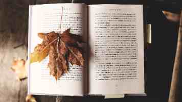 国产游戏《历史模拟器：崇祯》6 月 25 日起本体转免：创意工坊功能开发中，官方示范 MOD《罗马：塞维鲁》同步免费上线