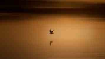 银发旅游，如何适老又悦老？（深阅读·文旅新观察）