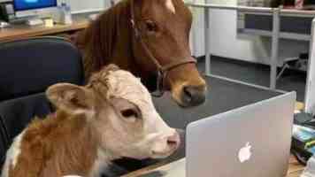 谁能帮你打造最符合要求的“中央厨房”