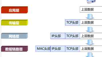 粉色视频苏晶体结构IS2025 - 画质与性能全面解读