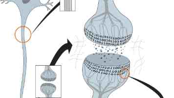 培养武装工作行家里手